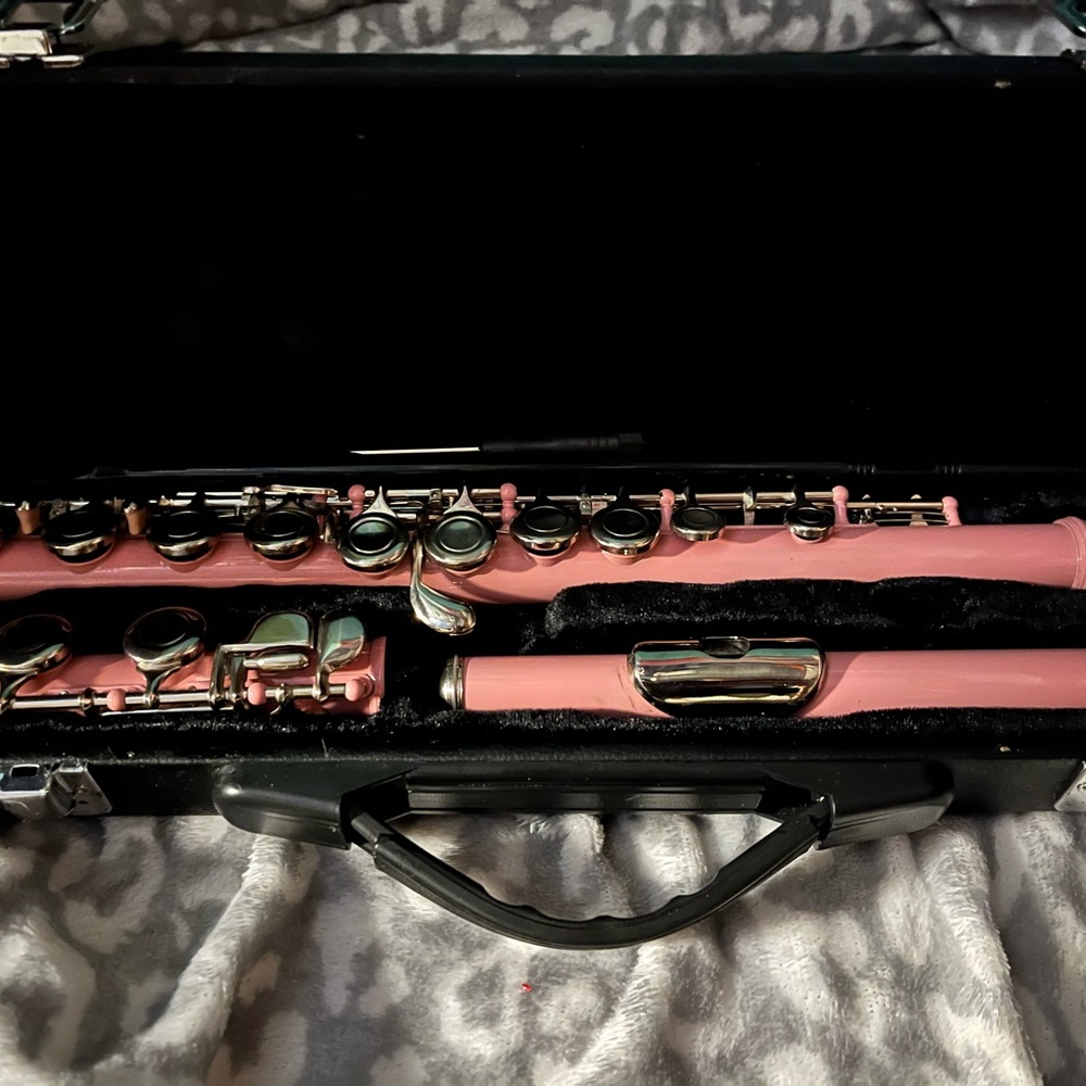 Not Rated Pink and Silver Flute in Case
